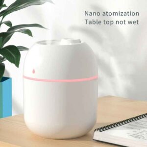 Portable H2o Mini Cup Spray Mist Humidifier (200 ml)